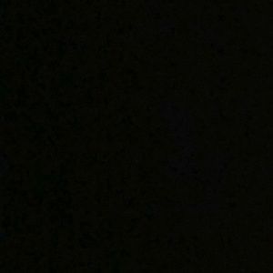 Meet your Posher, Alonzo